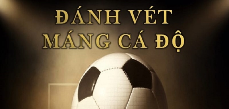 danh vet mang 67b027a119962