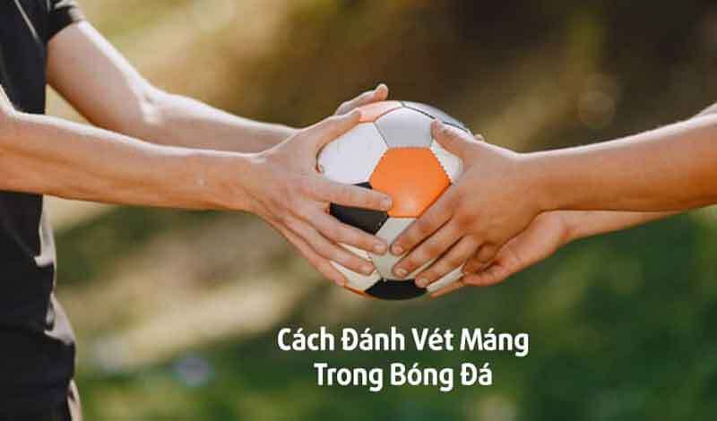 Diem qua 3 cach vet mang hieu qua nhat danh cho moi cuoc thu 2024 | Diem qua 3 cach vet mang hieu qua nhat danh cho moi cuoc thu 2024 | Guides